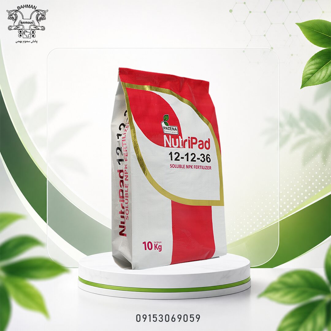 نوتری پاد 36-12-12